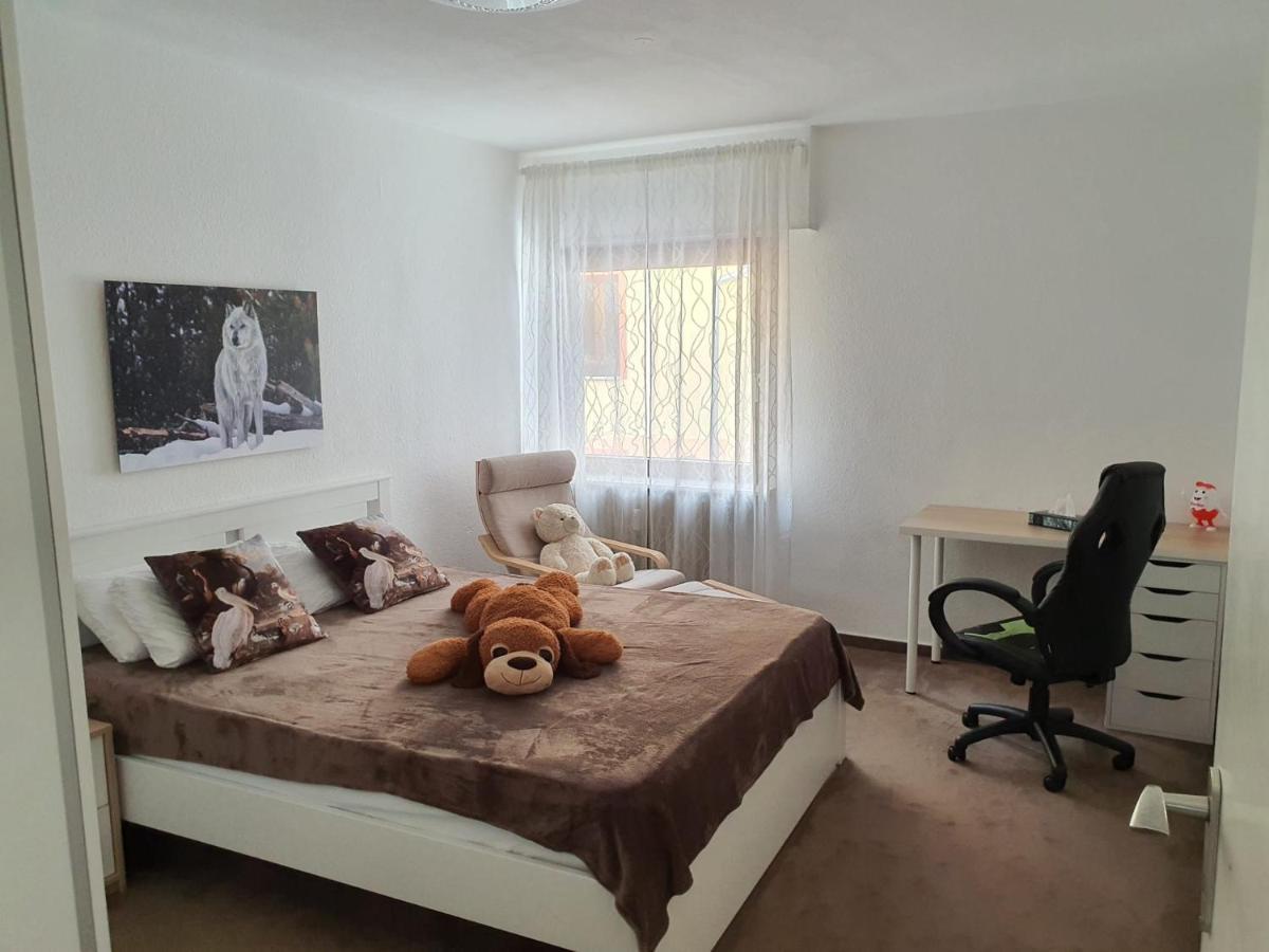 Hotel Garni Steinbacher Tal Heidelberg Ngoại thất bức ảnh